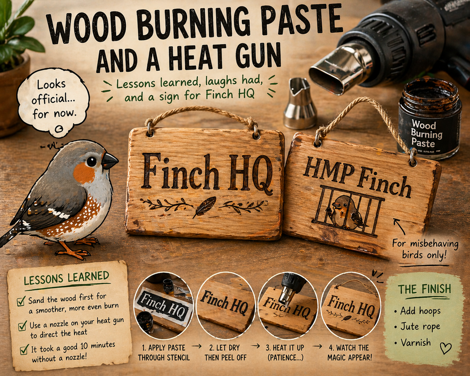 Wood Burning Paste, Heat Guns, and a Lesson in Patience (for Finch HQ 🐦)